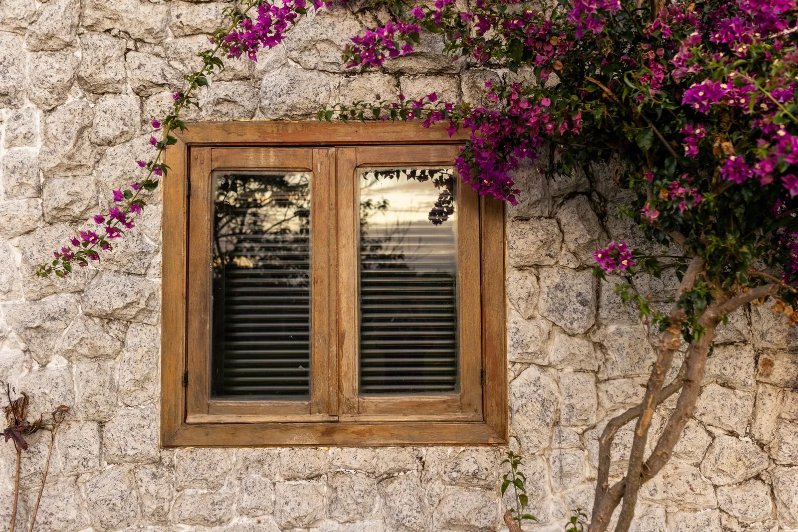 How to Choose Wood Windows for a Miami Home